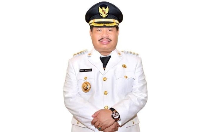 Amril Mukminin (Bupati Bengkalis, 2015-2021)