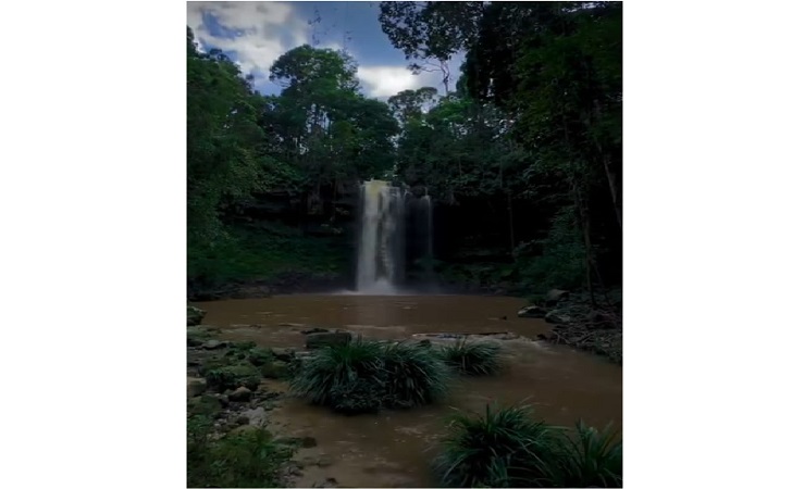 Taman-nasional-bukit-tiga-puluh.jpg