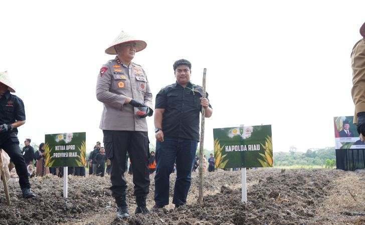 20-Hektare-Lahan-Jagung-Siap-Panen-Akhir-Bulan-Ini.jpg