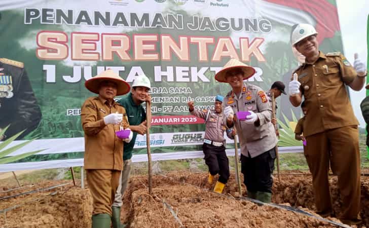 Astra-agro-tanam-jagung-di-rohul1.jpg