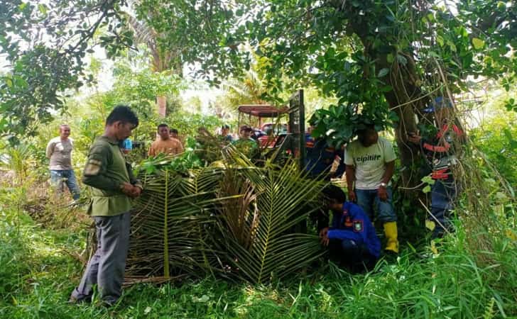 BKSDA-Riau-lepasliarkan-beruang-madu.jpg