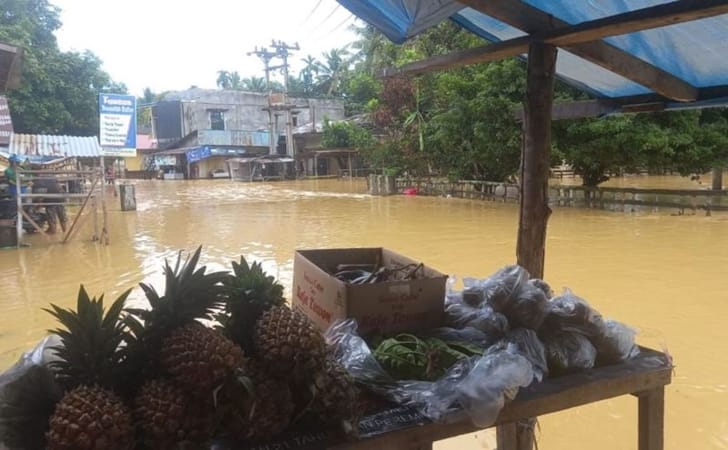 Banjir-di-riau-antara-foto.jpg