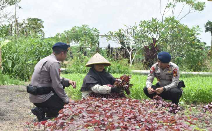 Brimob-Polda-Riau-Gelar-Patroli-Dialogis-ke-Petani-Sayuran.jpg