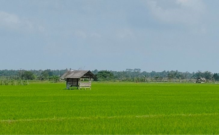 Waspada La Nina, 5 Daerah di Riau Berpotensi Terendam Banjir