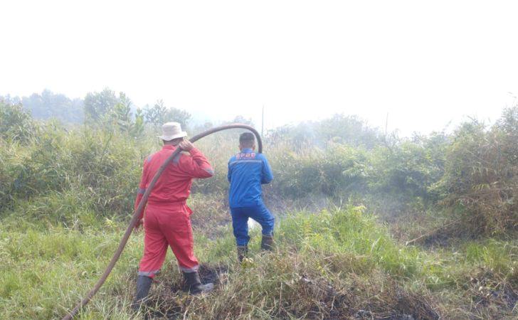 Cuaca-Panas-di-Pekanbaru-5-Hektar-Lebih-Lahan-Terbakar-dalam-Sepekan.jpg