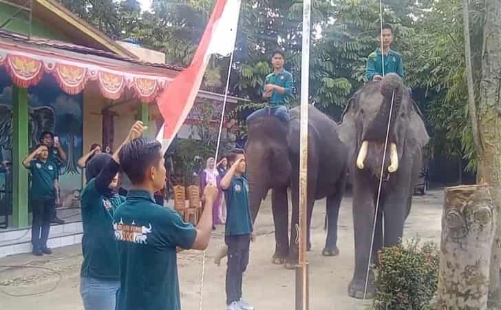 HUT-RI-di-Kasang-kulim-zoo.jpg