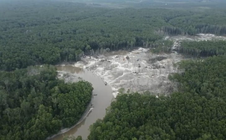 170 Ribu Hektare Hutan Indonesia Rusak Gegara Ulah Harvey Moeis dkk