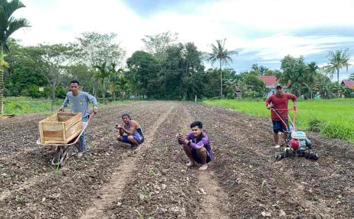 Karang-Taruna-Kemuning-Muda-Budidaya-Seribu-Jahe-Merah.jpg