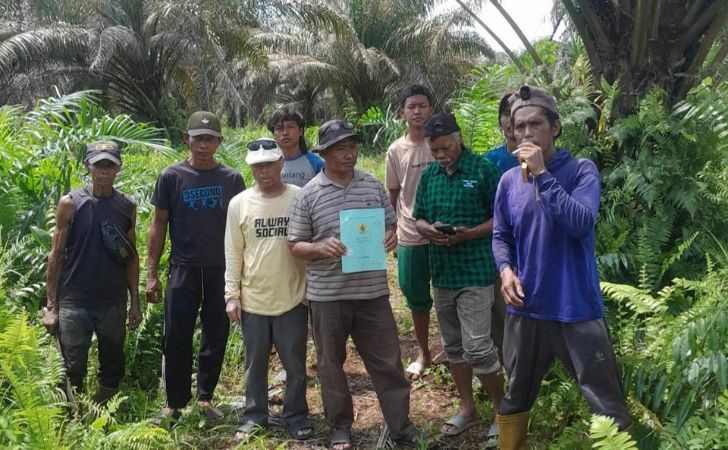 Konflik-Lahan-Sawit-di-Jatibaru-Mafia-Tanah-Diduga-Serobot-Lahan-Warga.jpg