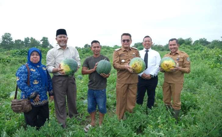 Tanam-Semangka-di-Lahan-Kosong-Poktan-Maju-Bersama-Raup-Untung-Rp200-Juta.jpg