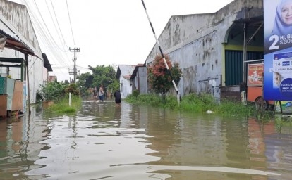 Banjir-Pekanbaru18.jpg