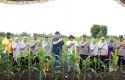 Kapolda-Riau-Tinjau-Dua-Lahan-Jagung-Wujudkan-Program-Prioritas-Presiden.jpg